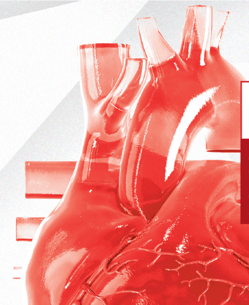 AHA 2025 Guidelines for CPR and ECC Are Here Learn from the gold standard in lifesaving training. Our new courses, updated with the latest science, are available now – get started today!